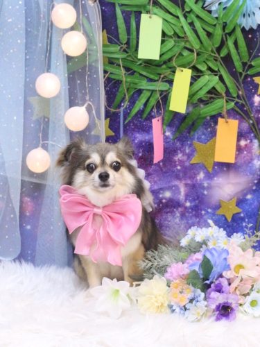 20250705あもちゃん